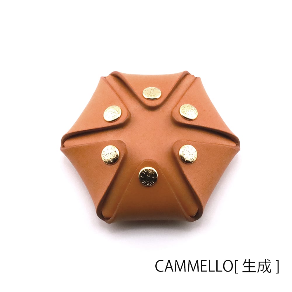 Hexagon 【セミオーダー】